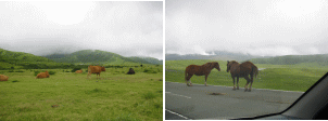 d0014408_13281854.gif