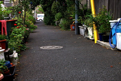 b0053019_23513375.jpg
