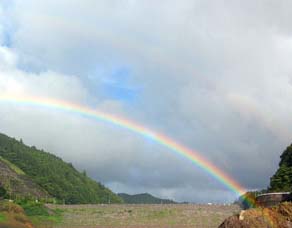 e0028625_14606.jpg