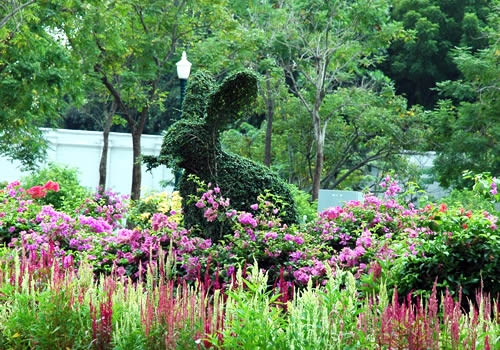 タイの植木職人_b0016049_23533038.jpg