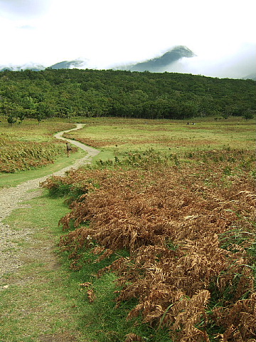 b0053765_015049.jpg