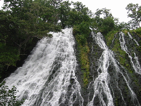 b0053765_0312292.jpg