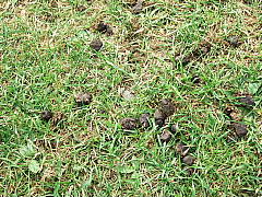 b0053765_041515.jpg