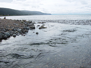 b0053765_0455759.jpg