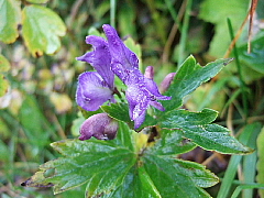 b0053765_13211694.jpg