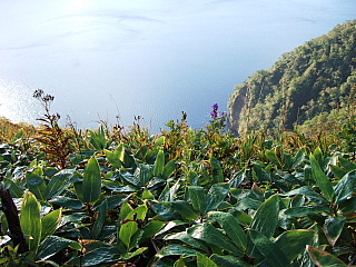 b0053765_1325266.jpg