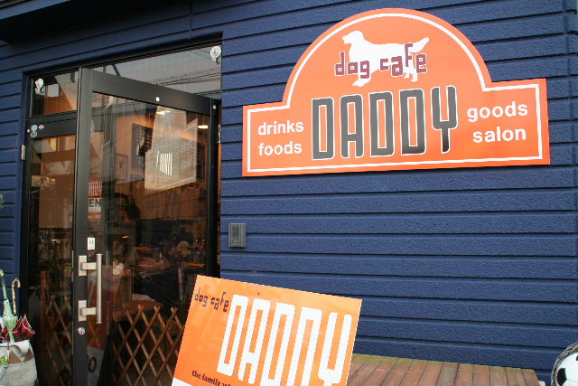 dog　cafe「DADDY」～わんちゃん集合_b0055171_23171393.jpg