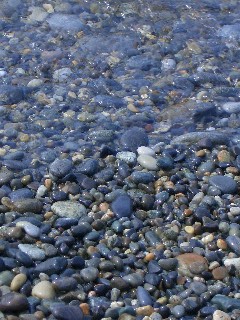 e0045792_17231028.jpg