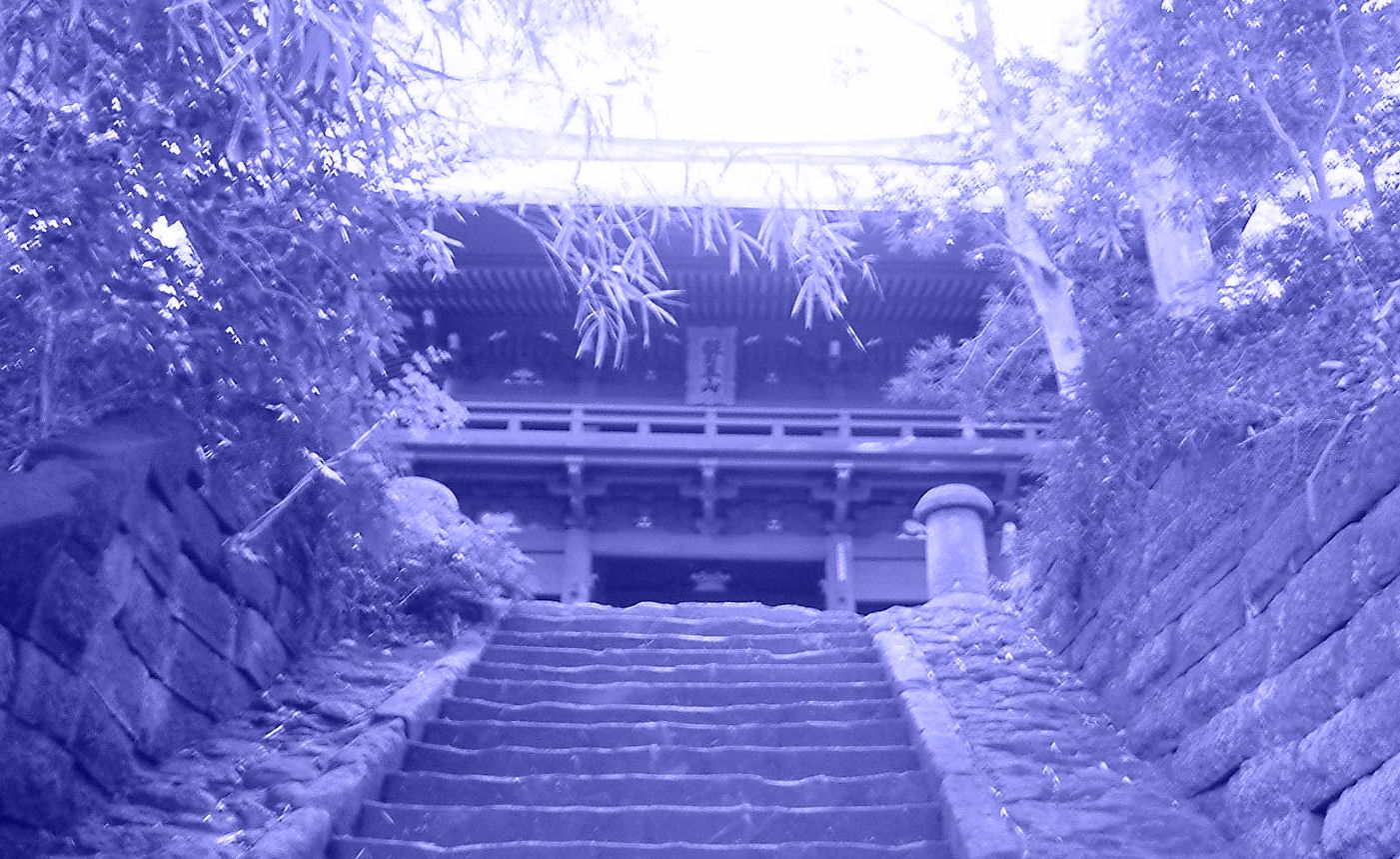 山寺_e0060124_8534785.jpg