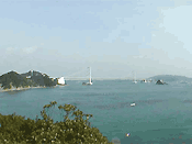 e0009772_23583276.gif