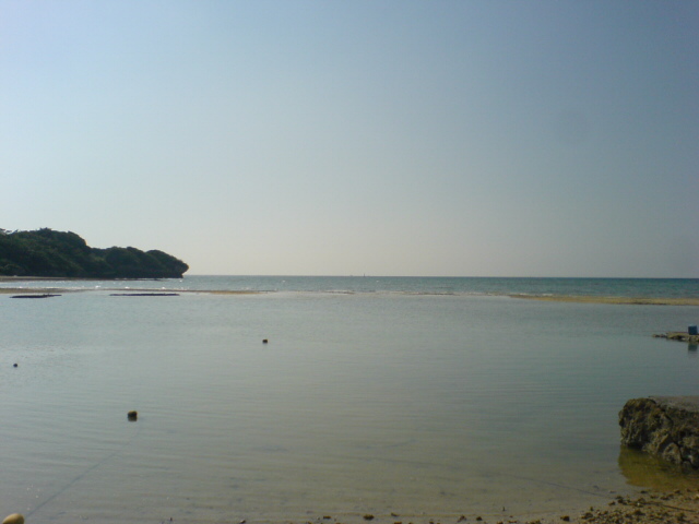 e0013679_22571293.jpg