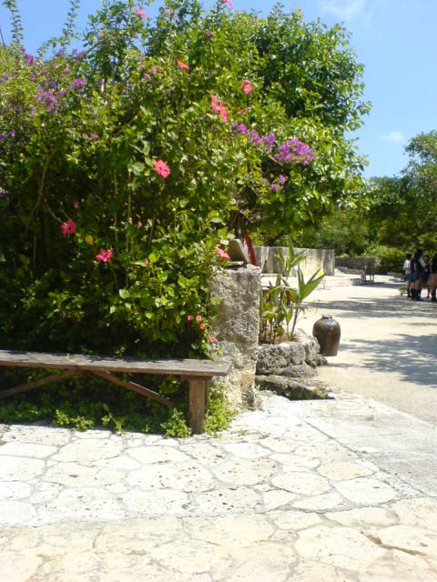 e0013679_2258112.jpg