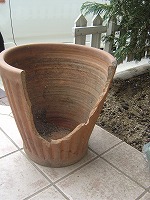 e0024385_92827.jpg