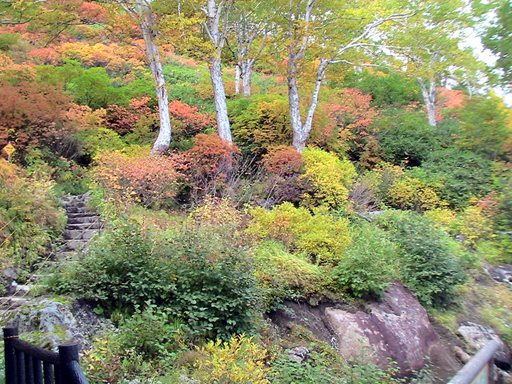 【層雲峡黒岳篇】 ぐるり道東の旅_c0016987_14204895.jpg