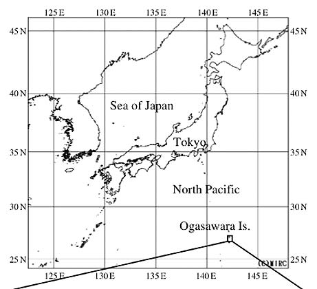 ★巨大ダイオウイカを世界で初撮影 日本人研究者(^ー^)_b0013789_1051148.jpg