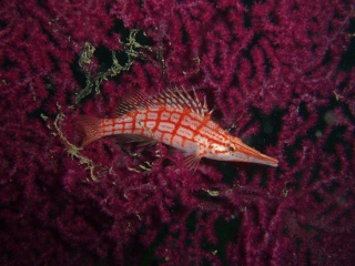 e0064291_1232425.jpg