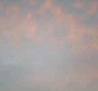 d0052904_2246266.jpg