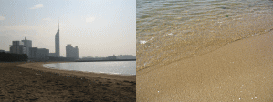 d0014408_1540535.gif