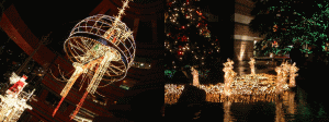 d0014408_19215975.gif