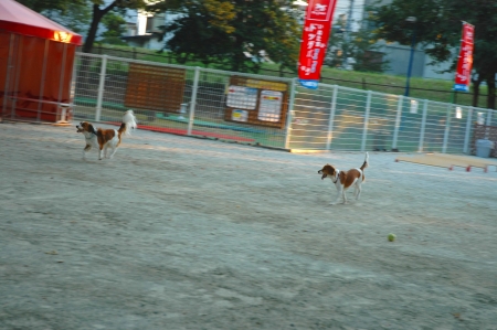 c0065512_16152.jpg