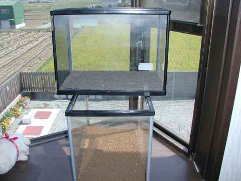 c0046023_14314019.jpg