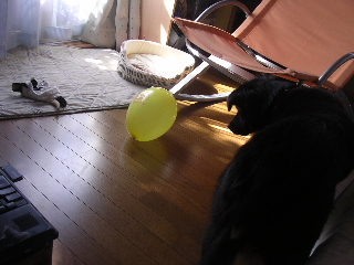 c0065643_13443612.jpg