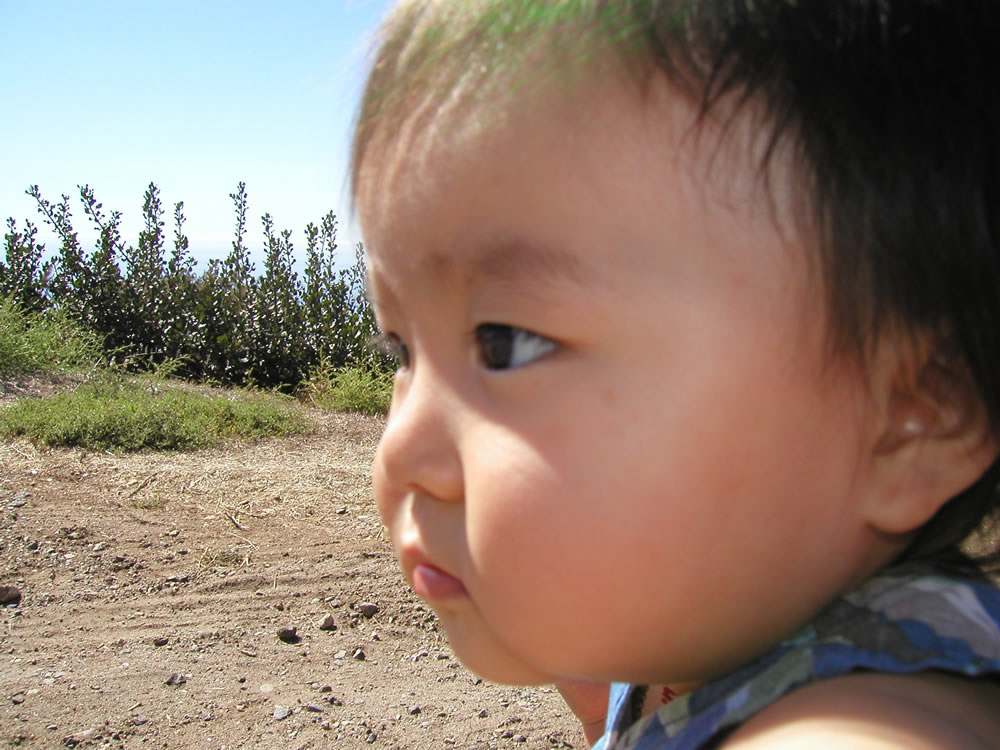 e0043258_89747.jpg