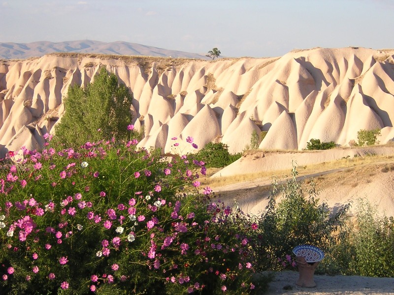 c0072993_20214619.jpg