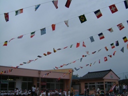 e0056400_1995441.jpg