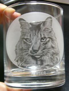 タウザー　のロックグラス　　Towser\'s rock glass_a0032004_133792.jpg