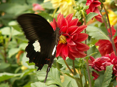 b0033112_17554532.jpg