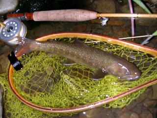 e0033926_025066.jpg