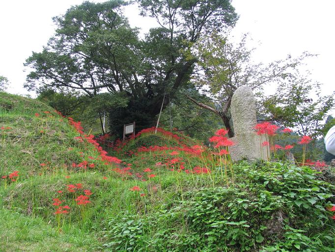 彼岸花のお寺_d0027244_16422010.jpg