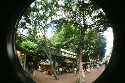 d0010165_1836216.jpg