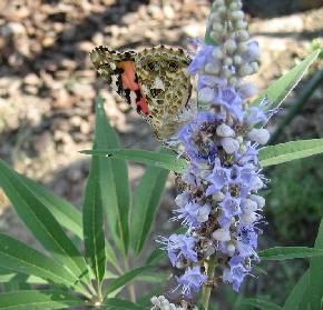 e0076814_23403371.jpg