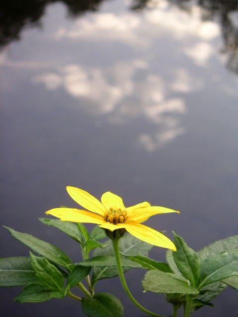 a0016829_6542940.jpg