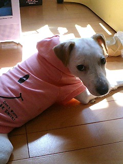 e0069433_20105110.jpg