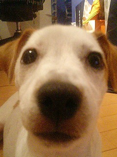 e0069433_20114669.jpg