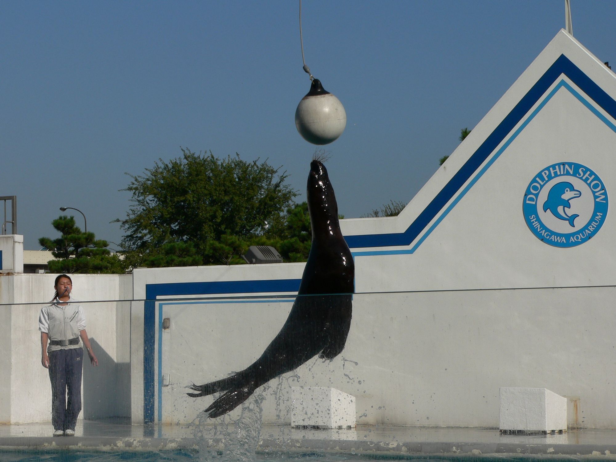 水族館。。。_e0088756_19534811.jpg