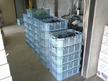 e0001170_14592561.jpg