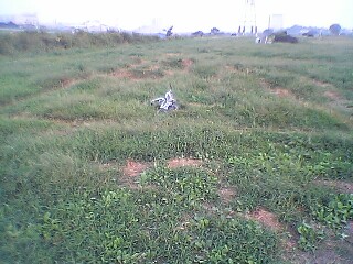 b0056000_22285211.jpg