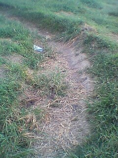 b0056000_22334790.jpg