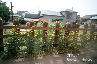 c0050400_1624963.jpg