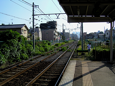 都電に乗って雑司ヶ谷へ－江戸屋猫八師匠を訪ねて_e0066210_1153670.jpg