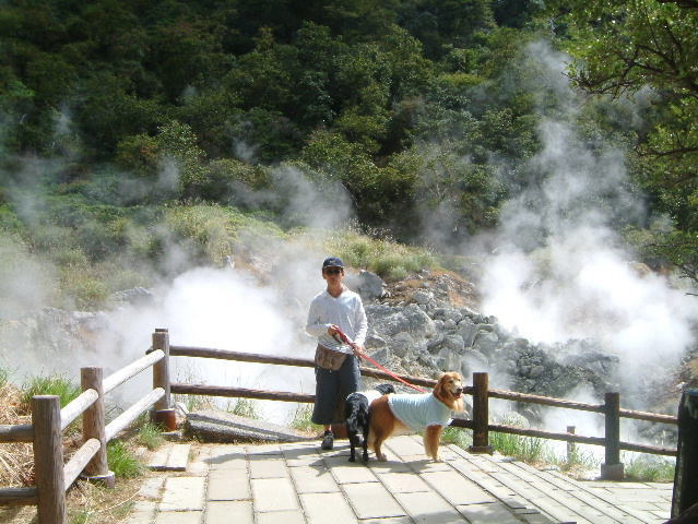 c0017311_8102854.jpg