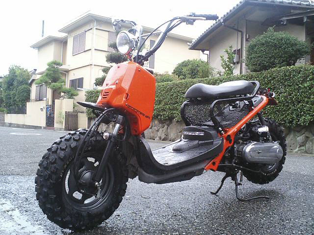 c0041619_2057265.jpg