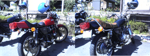 c0006028_825724.gif