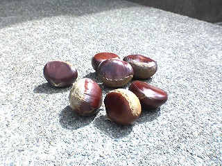 c0038334_22402380.jpg