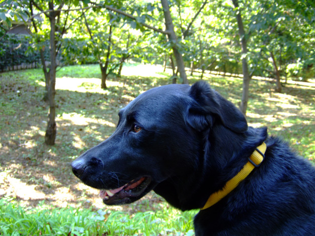 c0039145_22375150.jpg