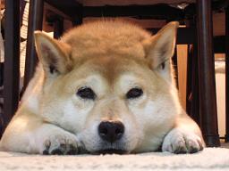 思ったことそのまま。。。_c0049950_2285061.jpg
